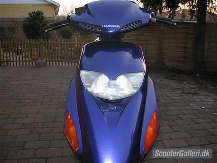 Honda Sfx- solgt - Et par uger efter.. har ikke gjort noget ved styling endnu. (før)  billede 10