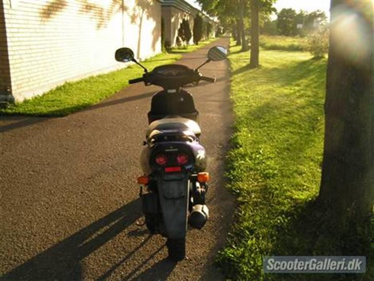 Honda Sfx- solgt - (før) lige købt :P billede 11