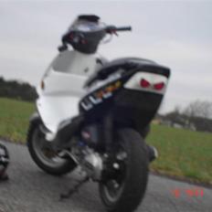 PGO Dr.Big Savner Dig 