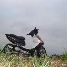 PGO Dr.Big Savner Dig 