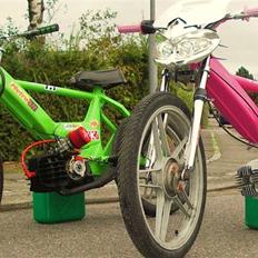 Puch Maxi MK Green Ninja
