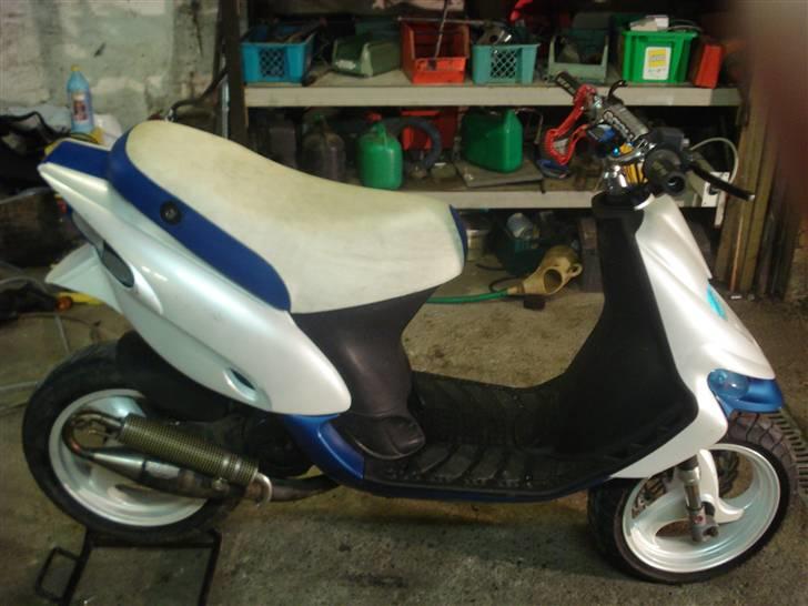 Gilera stalker byttet  billede 2