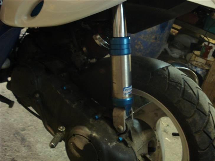 Gilera stalker byttet  billede 6