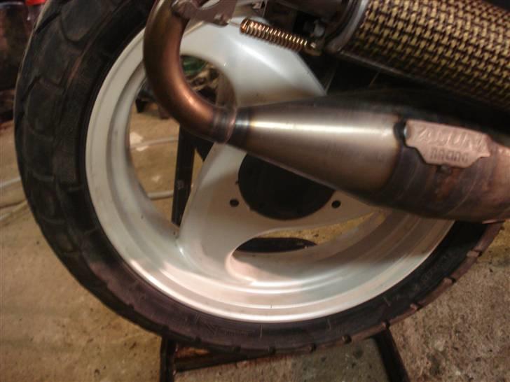 Gilera stalker byttet  billede 8