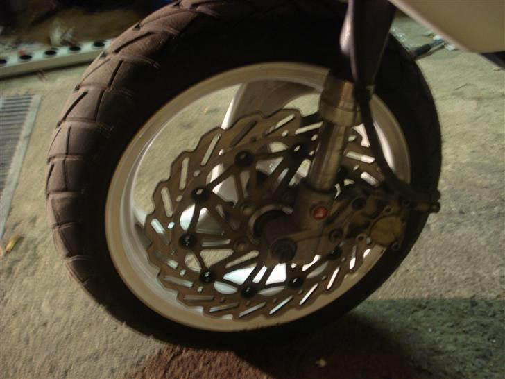 Gilera stalker byttet  billede 10