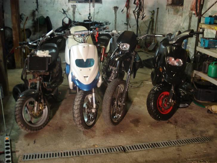 Gilera stalker byttet  billede 11