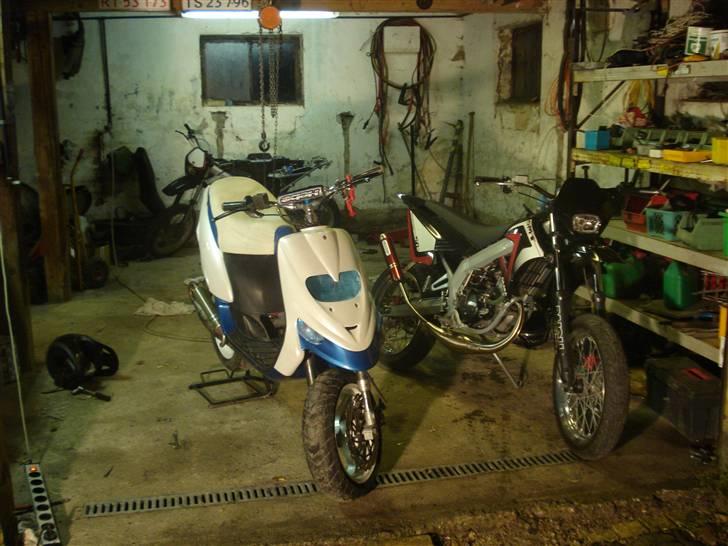 Gilera stalker byttet  billede 12