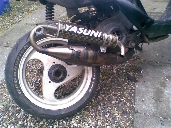 Gilera stalker byttet til jog billede 8