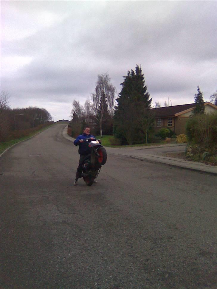 Aprilia Sonic billede 15