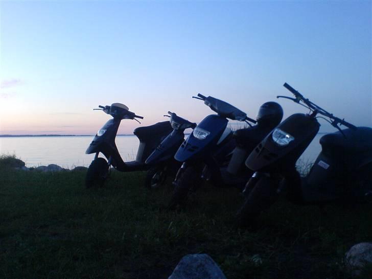 Piaggio Typhoon >>projekt<< billede 7