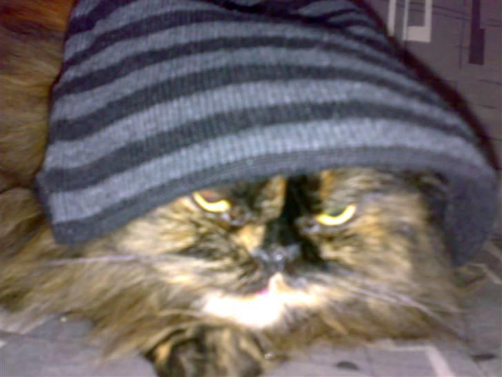 CPI oliver :P (byttet) billede 14