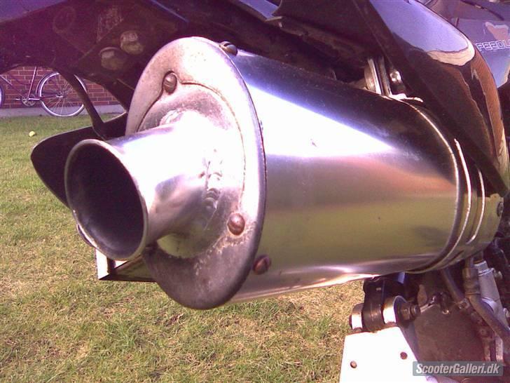 Sinski Shineray  billede 1