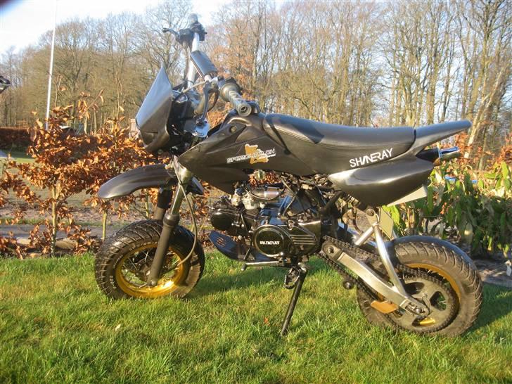 Sinski Shineray  billede 2