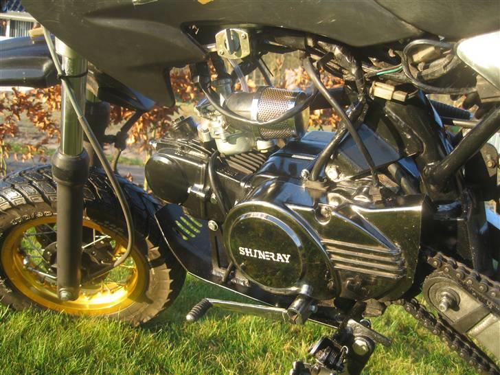 Sinski Shineray  billede 4