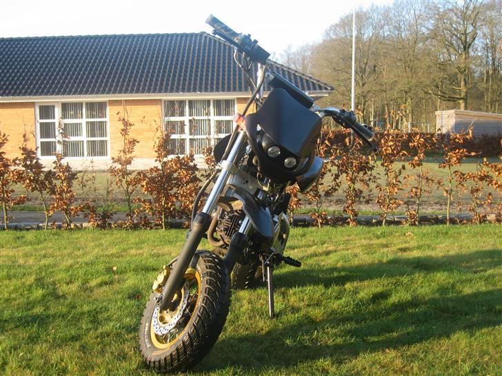 Sinski Shineray  billede 5