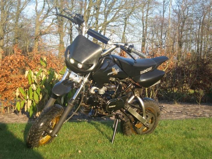 Sinski Shineray  billede 6