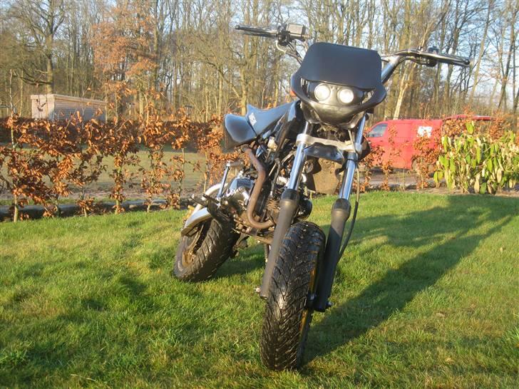 Sinski Shineray  billede 10