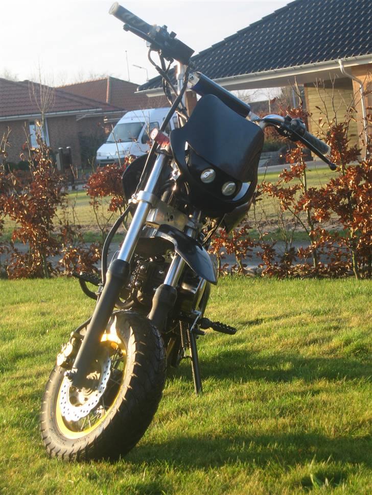 Sinski Shineray  billede 14