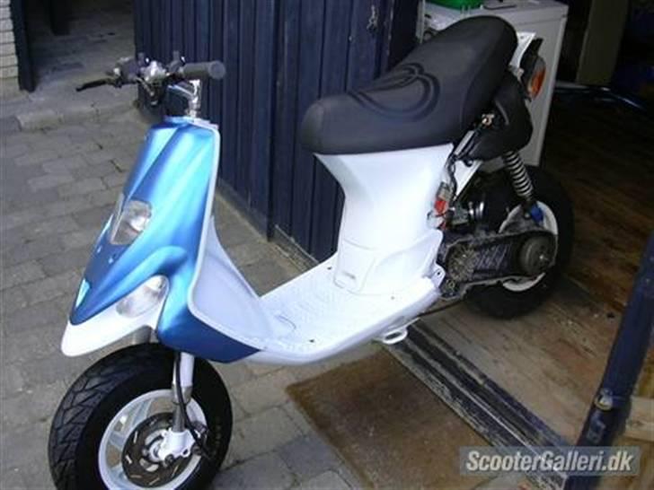 Gilera stalker byttet billede 4