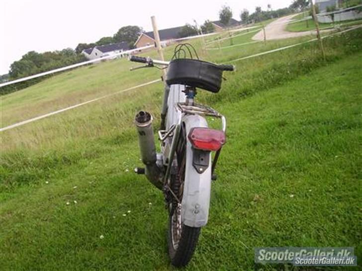 Puch maki k billede 5