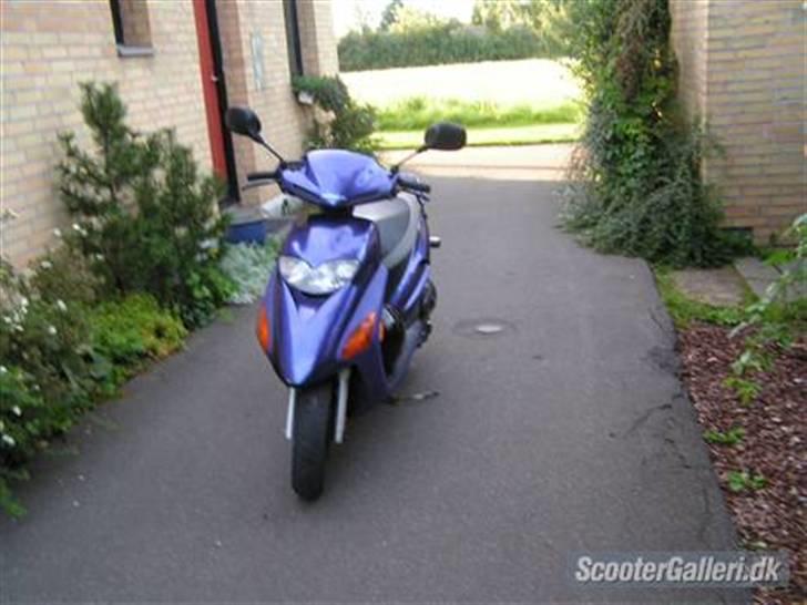 Honda Sfx- solgt - (før) lige købt  billede 13