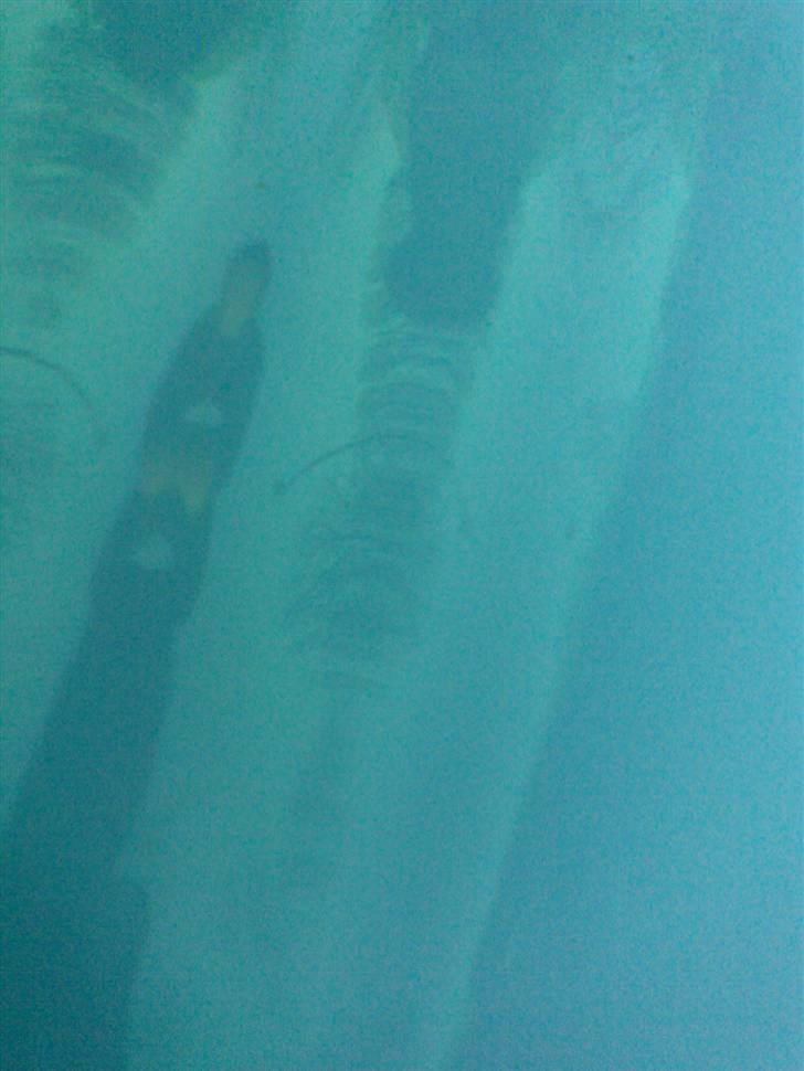 PGO hot 50 billede 5