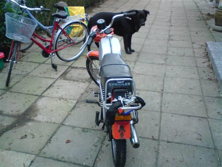 Kreidler florett billede 4