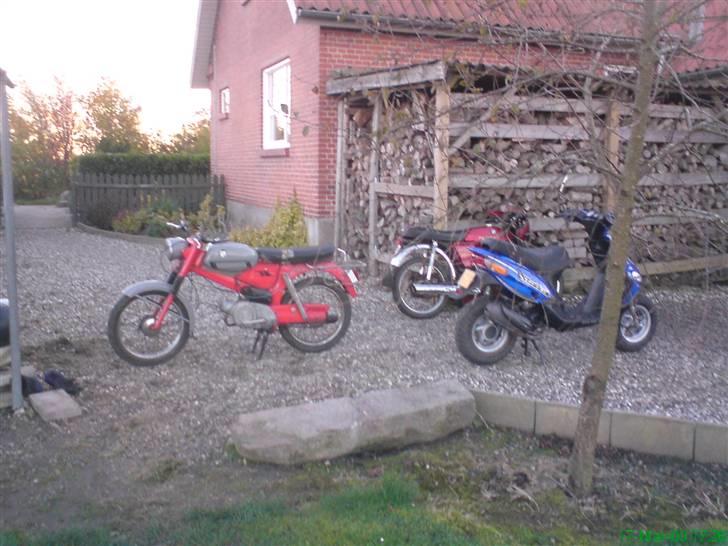 Puch VZ50 billede 2