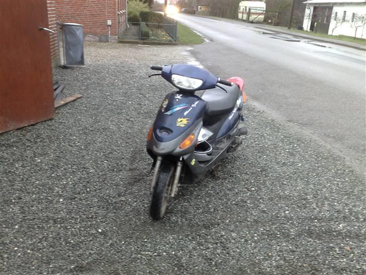 Pexma Zongshen(Bolizei) STJÅLET billede 4