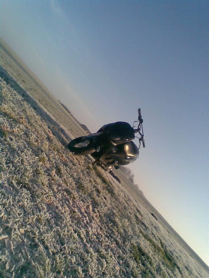 Piaggio nrg mc3 byttet til jog lc - smid en kommentar !  billede 9