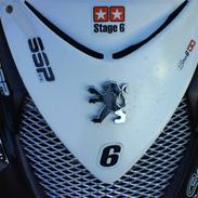 Peugeot Speedfight2 B.Rage(SOLGT)