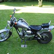 Regal Raptor - SOLGT!