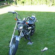 Regal Raptor - SOLGT!