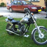 Regal Raptor - SOLGT!