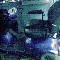 Kazuma spasser  (solgt)