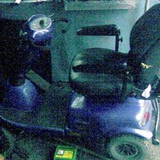 Kazuma spasser  (solgt)