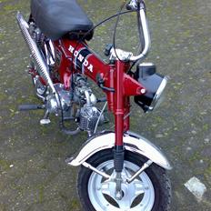 Honda dax soldt
