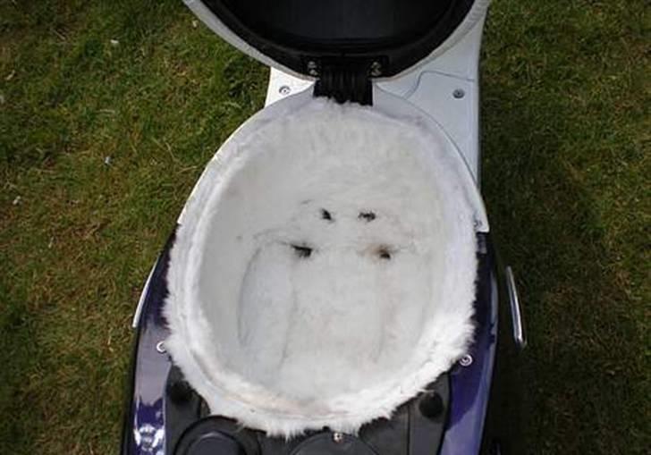 Aprilia Sonic billede 16