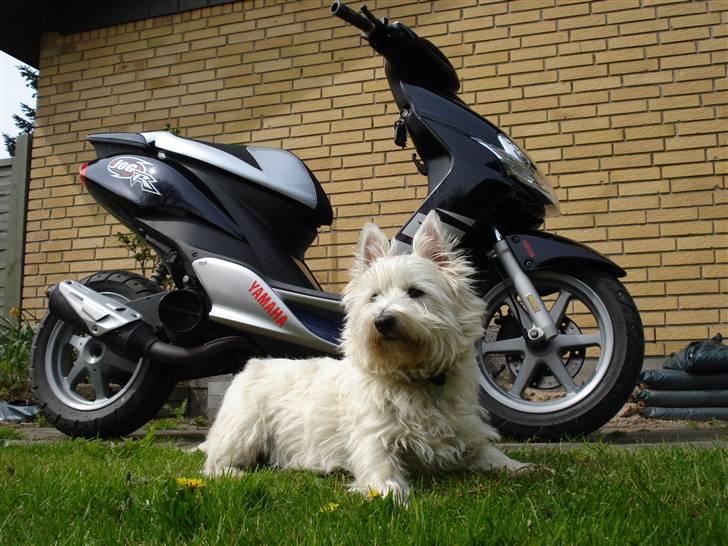 Yamaha Jog R -Solgt-! - JogR´en og Emma :D billede 11