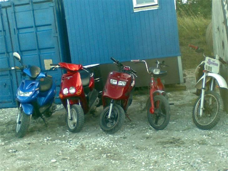 Vespa ciao - det er mig på den røde ciao billede 9