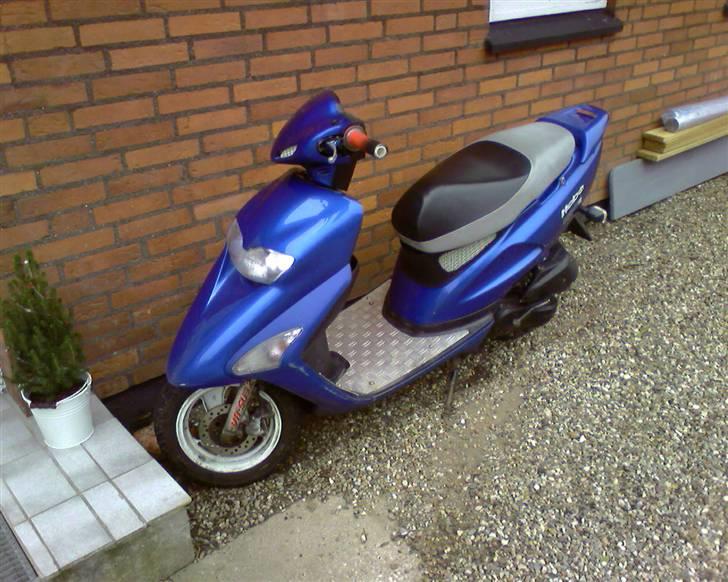 Honda sfx SOLGT billede 1