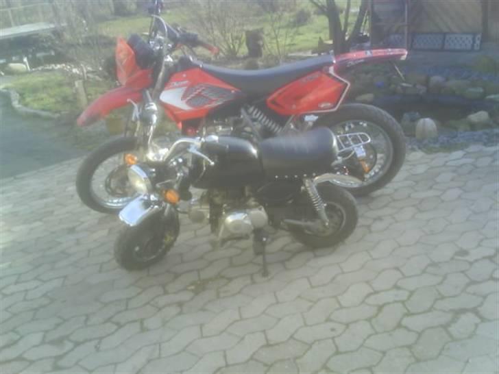 Skyteam Gorilla solgt R.I.P. billede 1