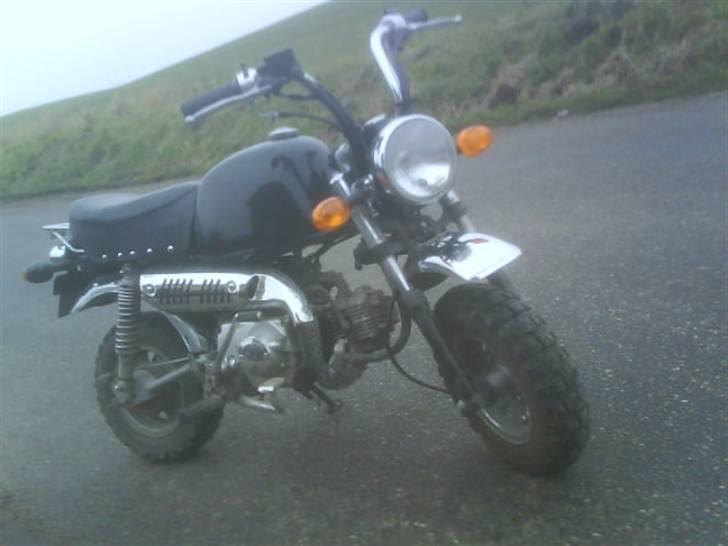 Skyteam Gorilla solgt R.I.P. billede 3