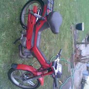 Puch maxi **team-ejlby** sælge