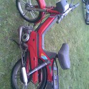 Puch maxi **team-ejlby** sælge