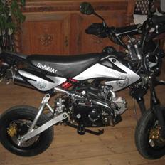 Sinski Shineray Topstar 50