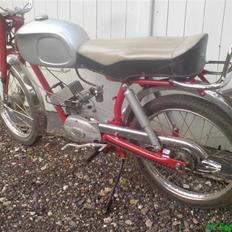 Veteraner Radexi 4 MP-V