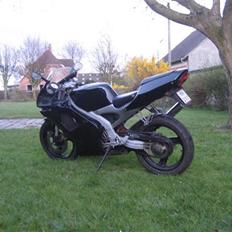 Aprilia RS 50