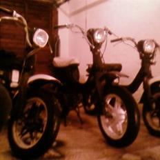 Suzuki Fz50  ( Før nr 2)