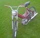 Puch maxi 